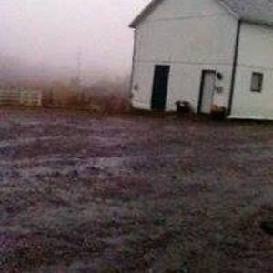 Meet your Posher, Ellen